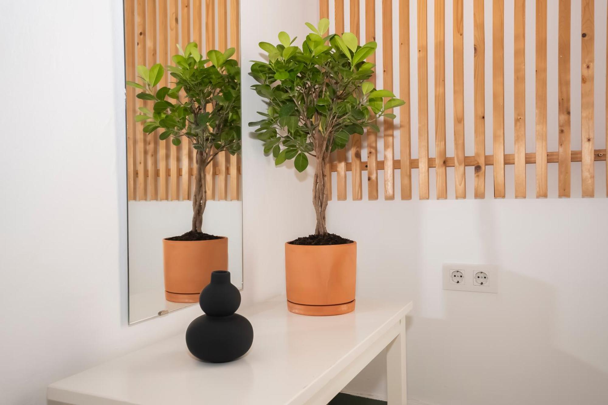 סביליה California Apartament Dos De Mayo מראה חיצוני תמונה